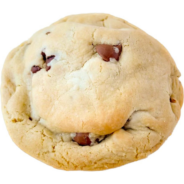Chocolate Chip