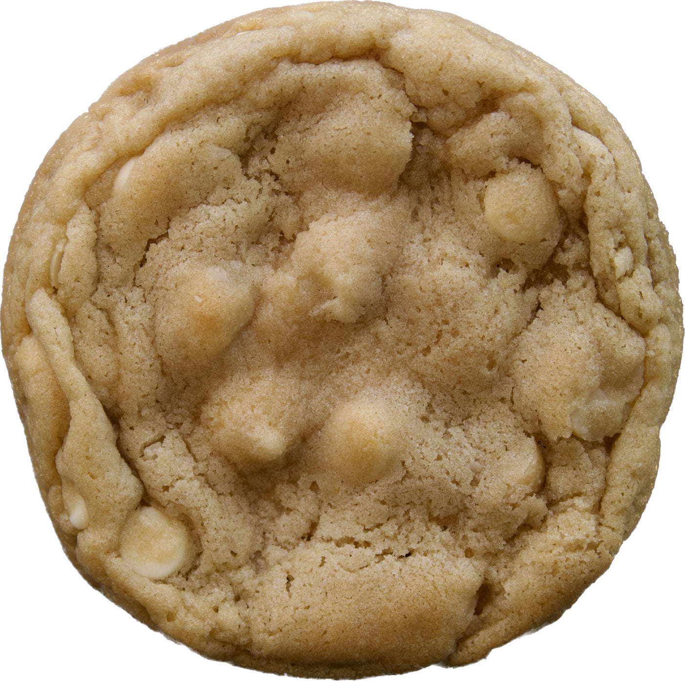 A close-up of a white chocolate macadamia nut cookie from Bake the Cookie Shoppe, with pieces of macadamia nuts visible on the surface of the cookie.