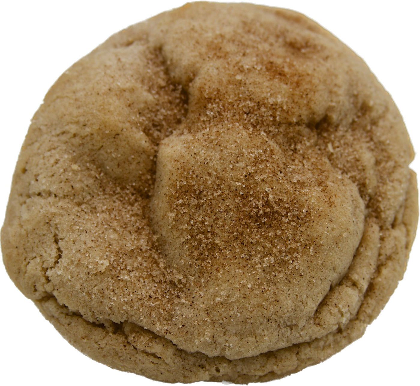 A freshly baked snickerdoodle cookie with a soft and chewy texture and a generous dusting of cinnamon sugar on top