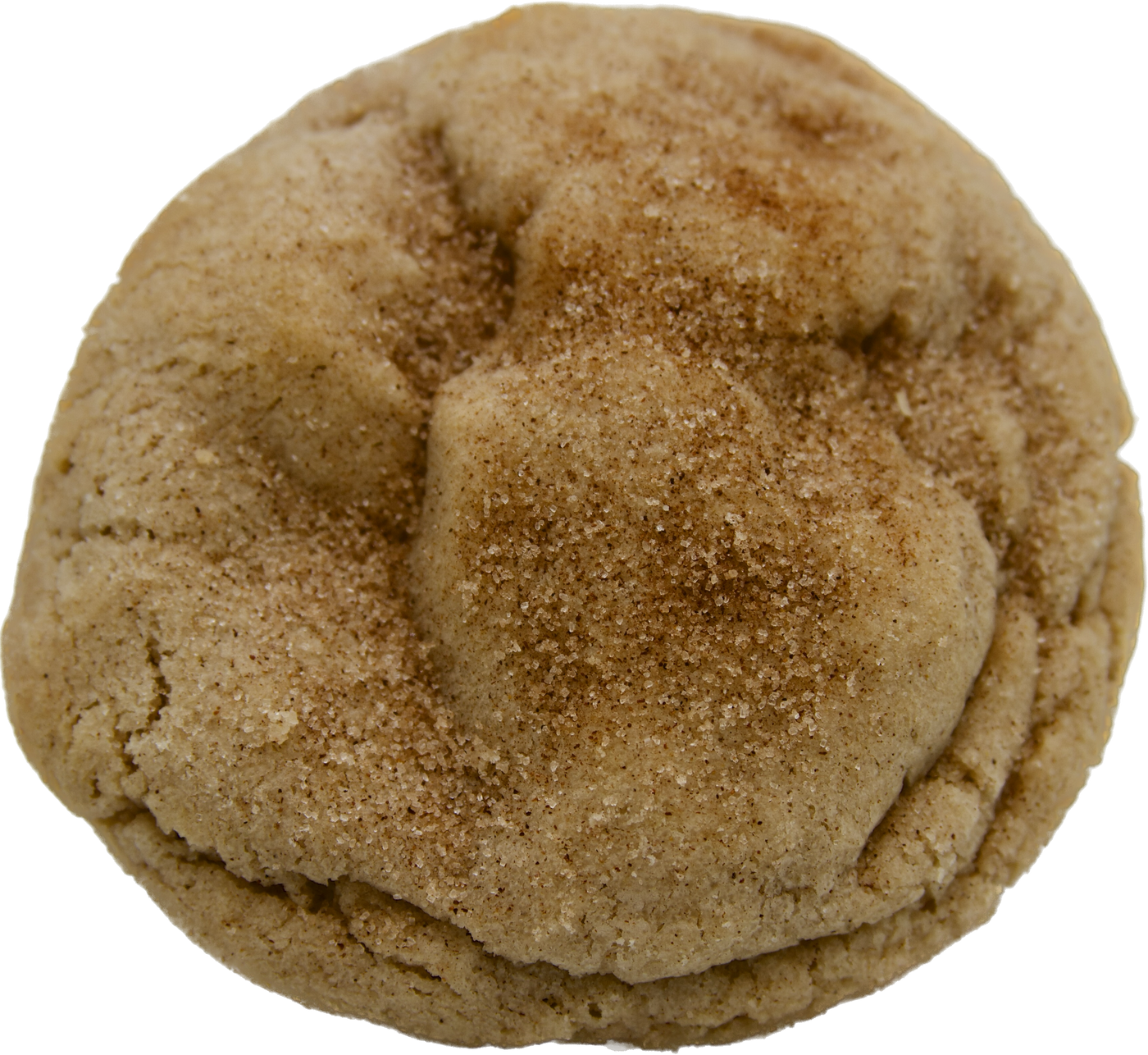 A freshly baked snickerdoodle cookie with a soft and chewy texture and a generous dusting of cinnamon sugar on top