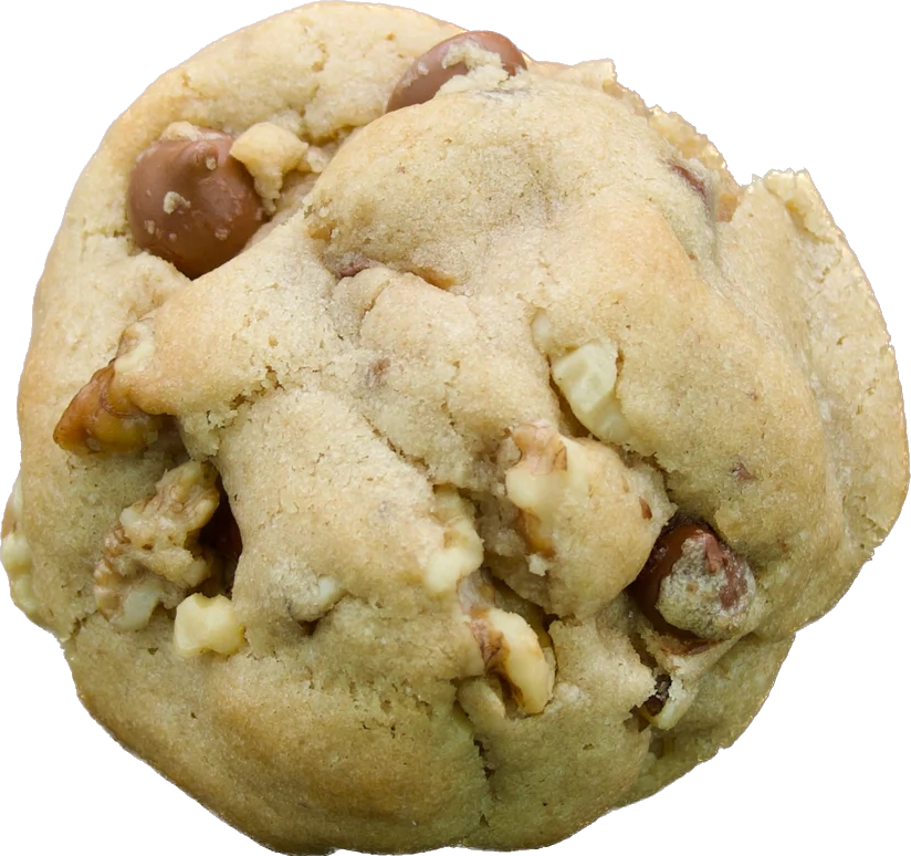 A chocolate chip cookie with chunks of walnuts mixed in, adding a crunchy texture to the classic dessert