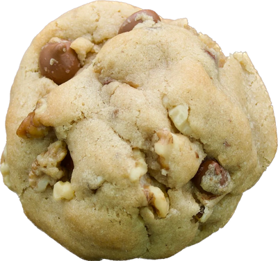 A chocolate chip cookie with chunks of walnuts mixed in, adding a crunchy texture to the classic dessert